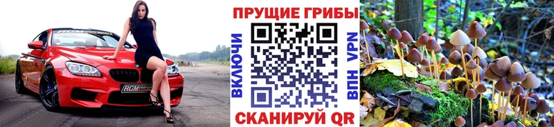 Галлюциногенные грибы прущие грибы  где купить наркоту  Инсар 